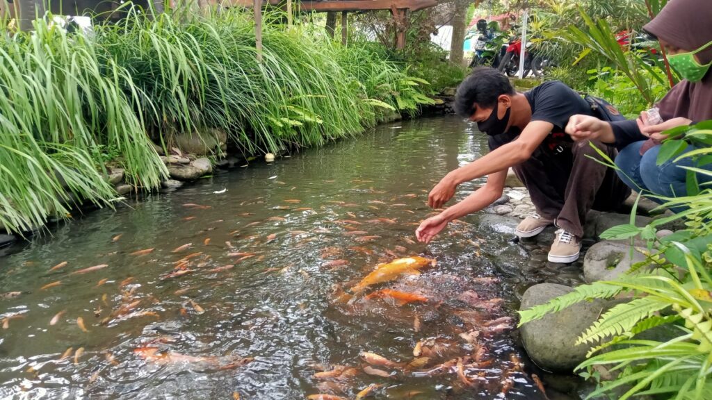 Innovating for Healthy & Sustainable Aquaculture