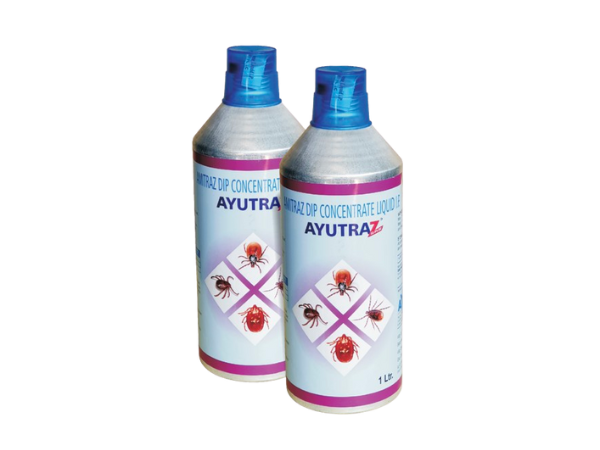Ayugen_Product